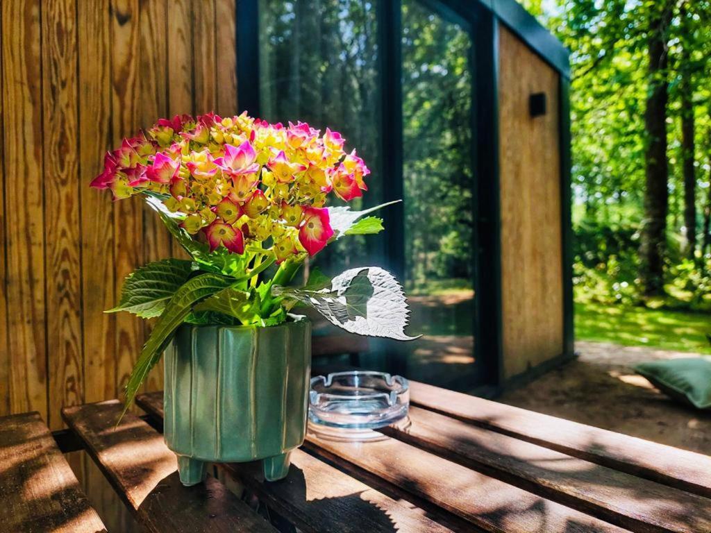Country house Cantinho D'azenha *