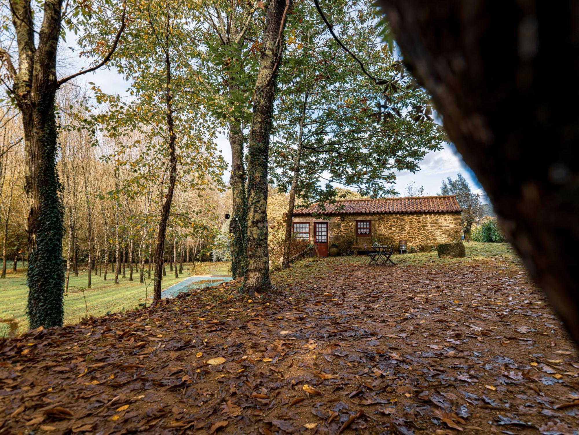 Country house Cantinho D'azenha *