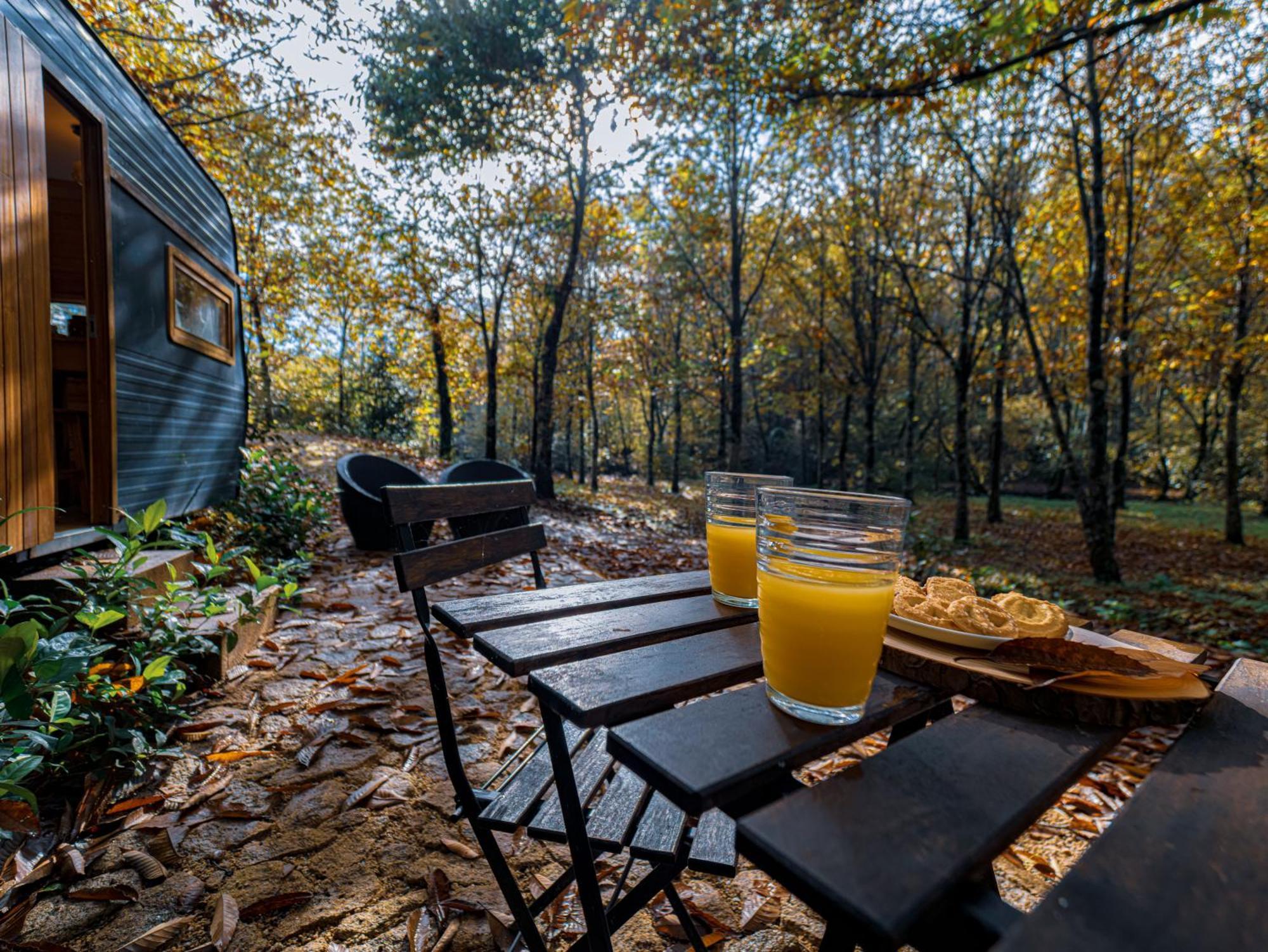 Cantinho D'azenha Country house Ponte de Lima